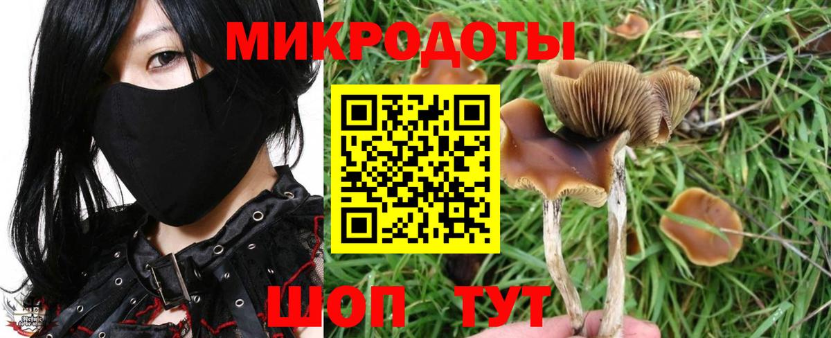 Галлюциногенные грибы Psilocybe  Псилоцибиновые грибы MAGIC MUSHROOMS  Вход с VPN  Киселёвск 